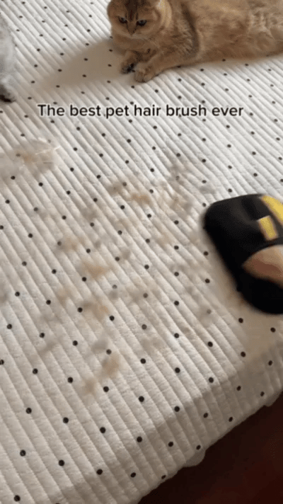 Pet Electrostatic Hair Removal Glove